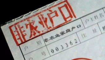 自建房房产证图片样本