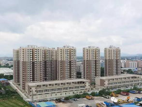 新会房管局官方网站