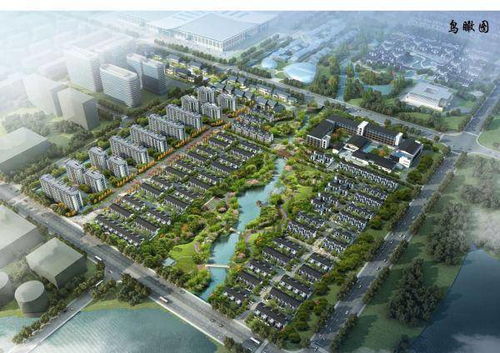 桐庐分水镇新楼盘