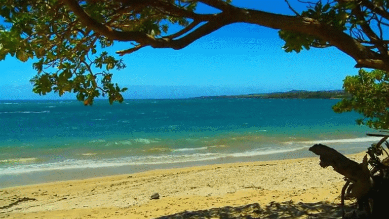 三亚房产网最新楼盘