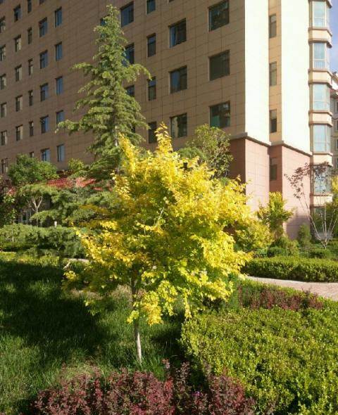 甘肃临洮房产证照片