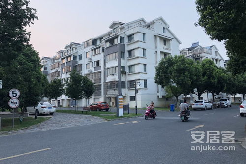 舟山房产信息网透明售房