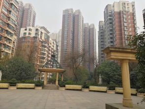 顺驰中介怎么样