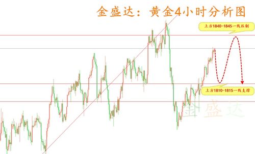 福建金属建材价格走势最新