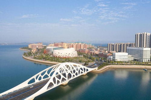 黄岛房产管理与住房保障中心电话