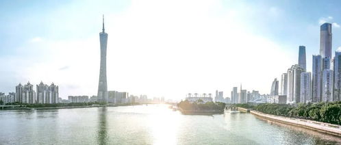 买房子投资怎么说