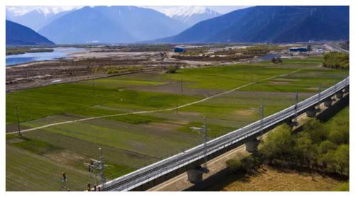 林芝交通土建材料厂家电话