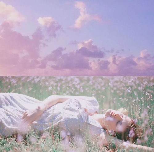 追忆袁隆平河源往事 16年前,他曾到紫金考察超级杂交稻制种