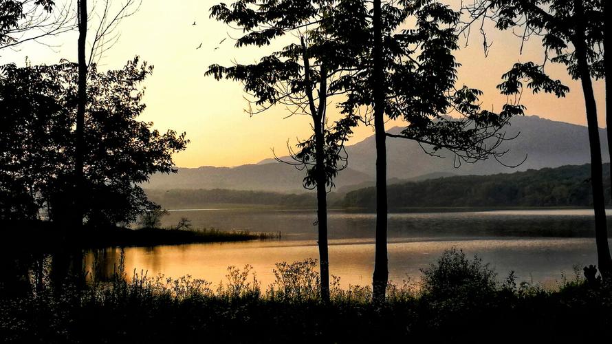 4插画|《静谧》