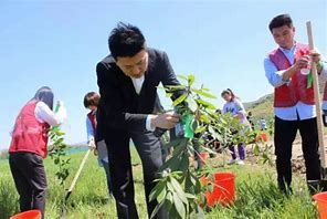 久盛集团的环保理念