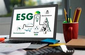 财政部企业可持续披露将从自愿向强制扩展