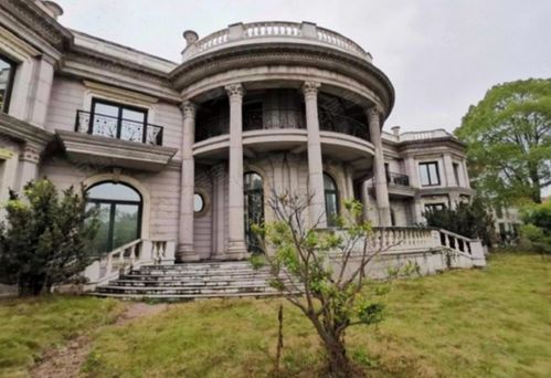 戴志康上海豪宅亿元成交市场热度与投资价值的深度剖析