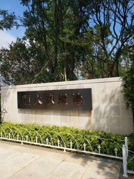 南山豪宅深湾玖序连夜赶工背后的市场策略与细节揭秘