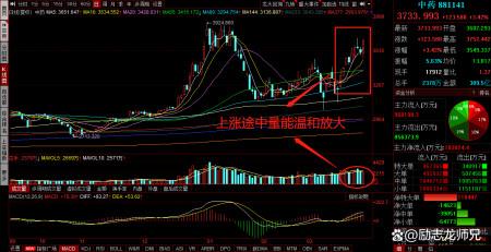 吉药股价跌破月新低主力净流出加剧市场担忧