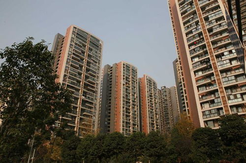 一线城市引领住房以旧换新潮流保障房建设的新策略