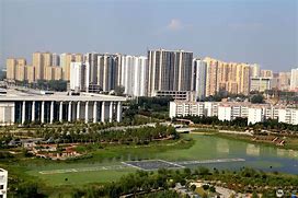 政策废止带来的影响