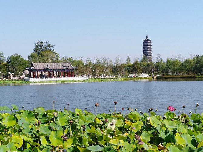 通州区妇幼保健医院