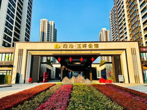 深圳楼市热潮再起新盘热销与二手房全款交易的背后