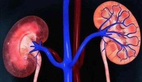 贵州银行宣布派发末期股息投资者的福音与银行业绩的映射