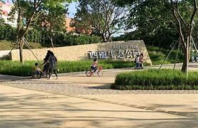 前海网红公园改造风波市民质疑与官方回应的深度剖析