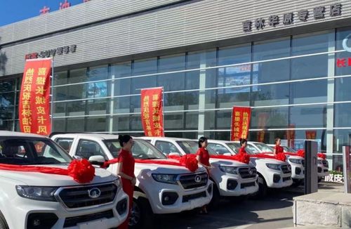 中东国家投资新能源汽车产业的意义