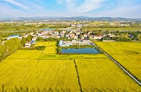 北京大兴西红门镇