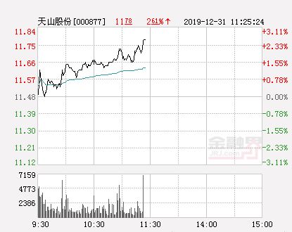 天山股份大宗交易分析万股成交背后的市场动态与投资启示