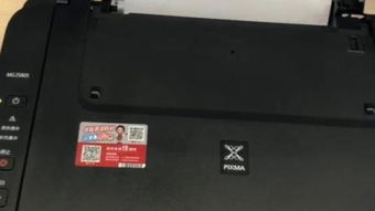 中国国航月旅客周转量同比上升%环比上升%