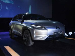 小鹏汽车全资成立贸易公司渠道拓展的新篇章