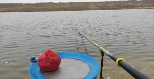 县国企的双重标准垂钓者与地笼捕鱼之争