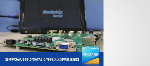 消息称字节旗下研发多款穿戴设备，搭载豆包大模型