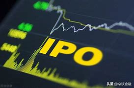 董事持有的股份