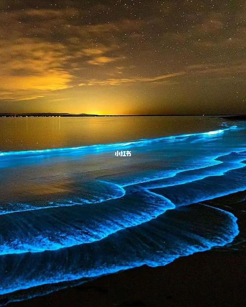 【追蓝眼泪，体验进货游】县域游与反向游的火爆背后