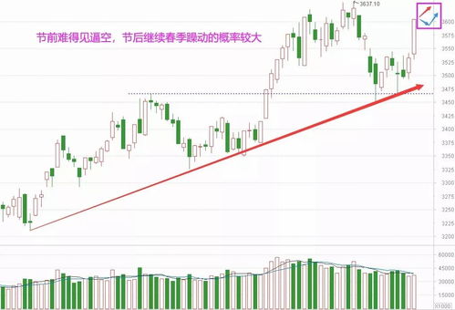 瑞达期货：年第二季度瑞达转债转股股