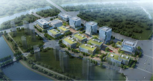 小洪山科学城全面封顶计划明年投用