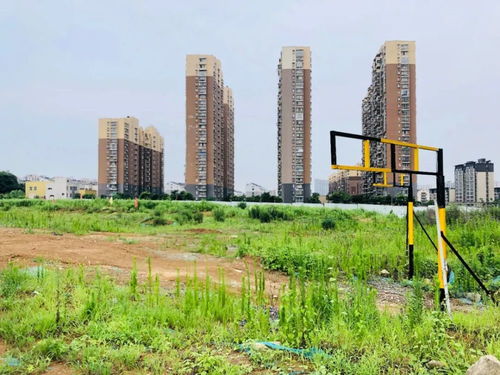 广州保利广钢城