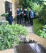 赞美物业修剪绿植的句子