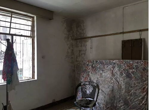 装修全部瓷砖上墙