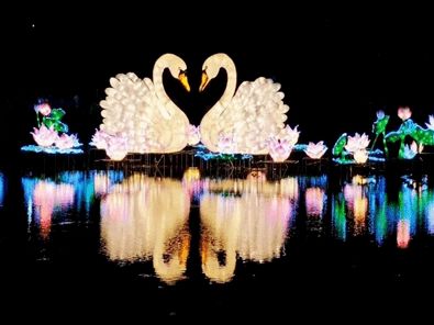 陶然亭公园夜游开启，畅享夏夜文化盛宴