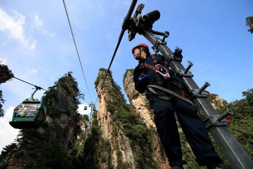 张家界上半年亏损逾万冲上热搜，网红景点为何不赚钱？