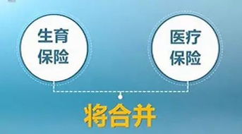 停售与上新同步推进险企产品切换忙