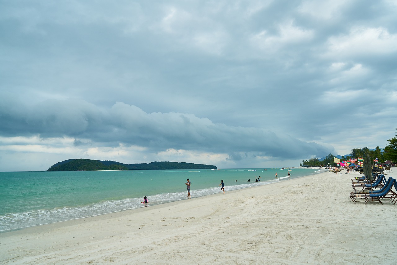 南极，绿色蔓延的惊人速度
