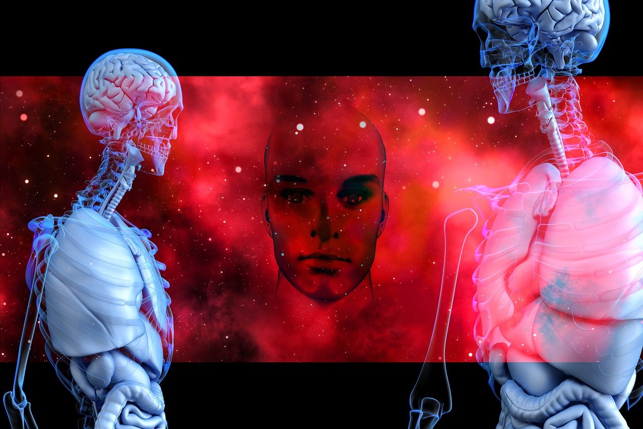 夜半惊魂，鬼故事的魅力与心理学效应——一段让人毛骨悚然的探索