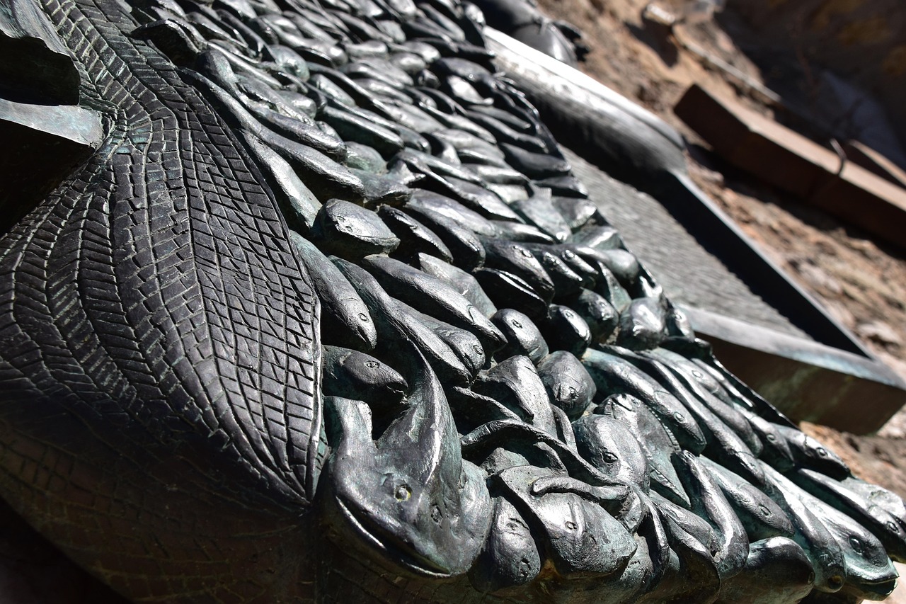 鲜美富饶的海洋珍宝，揭秘象拔蚌的价格魅力与生活艺术