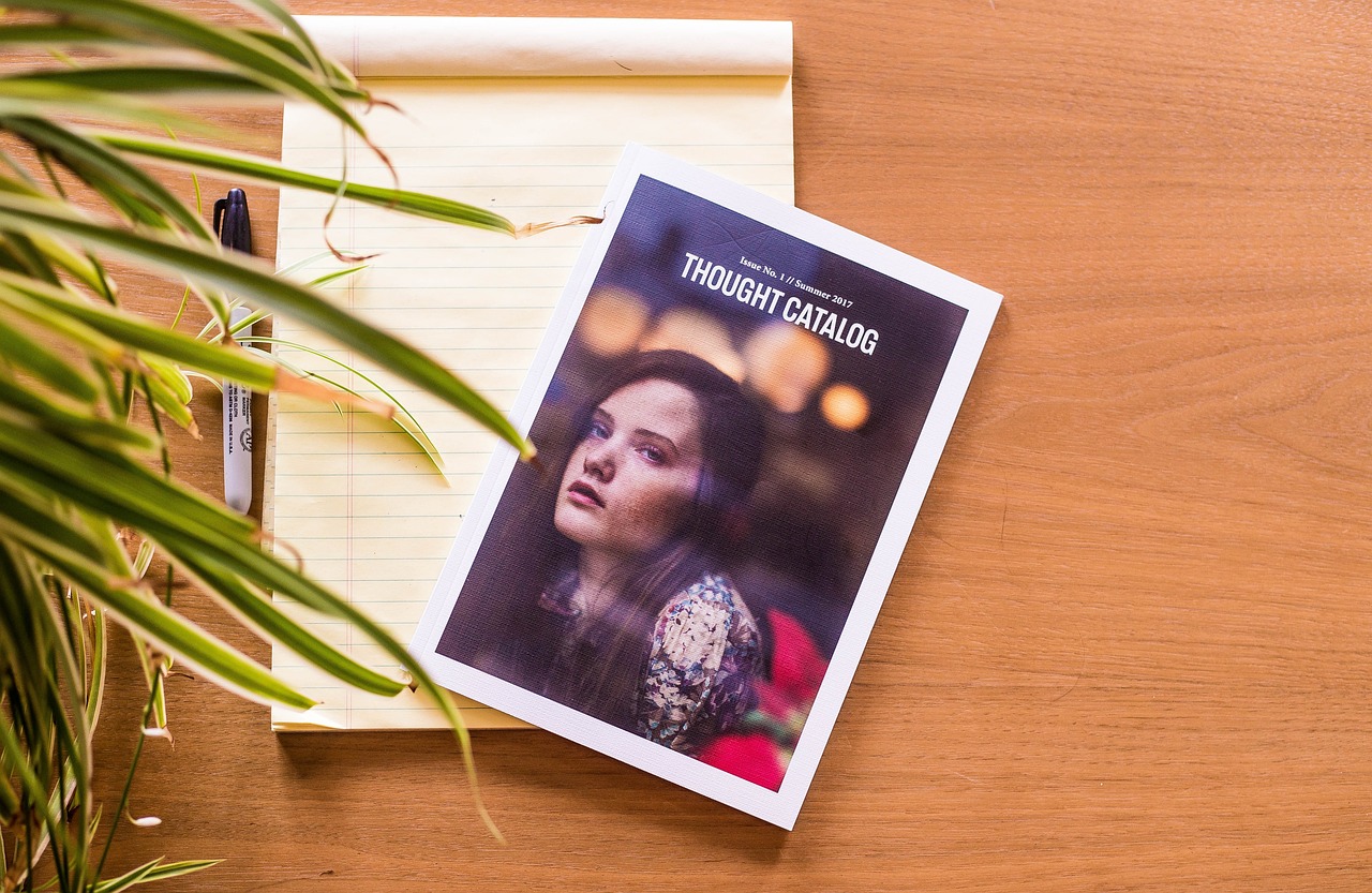 揭秘全智贤的魅力密码，美丽神话背后的自然与整形技术