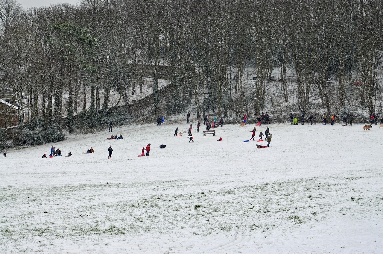 掌握疫情动态，全国感染高峰进度查询指南