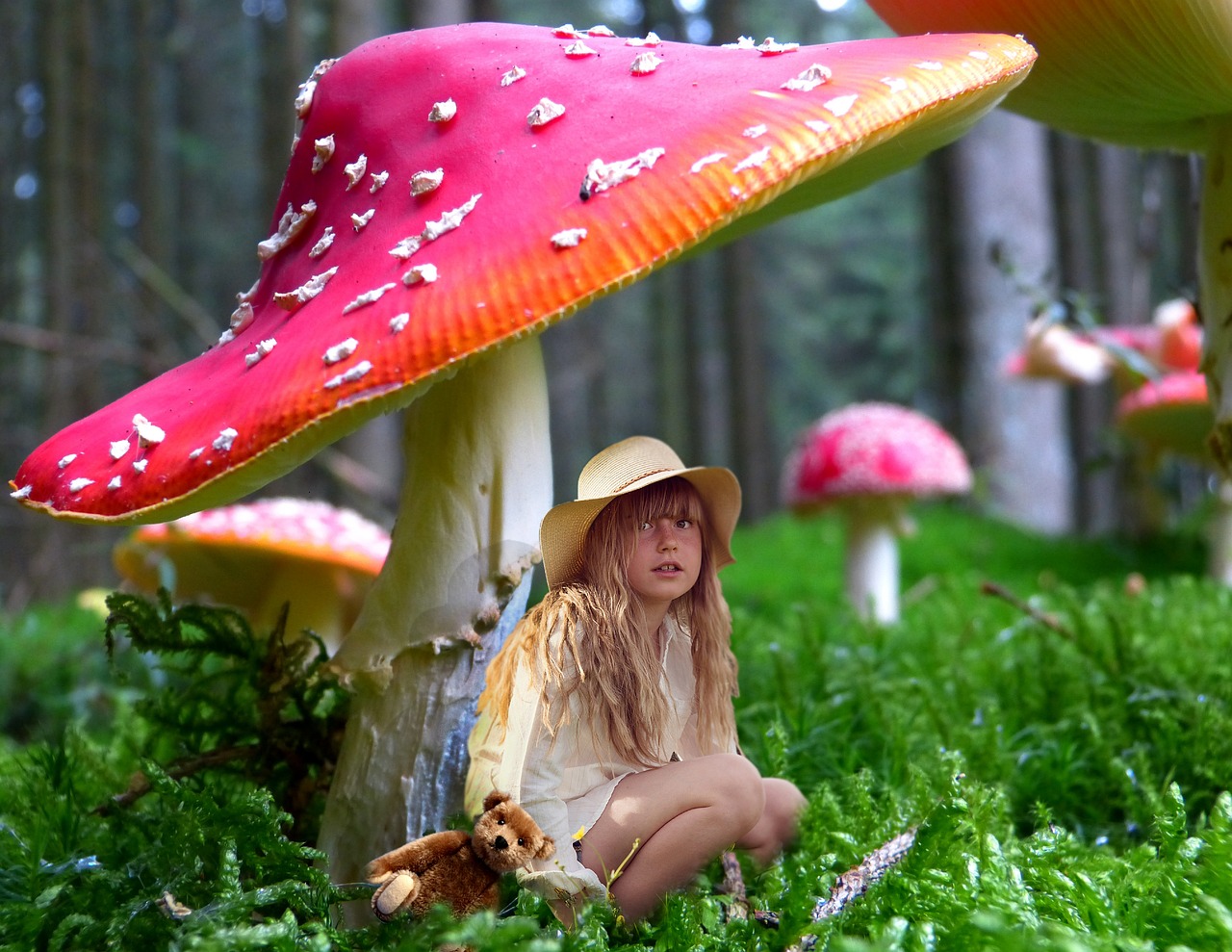 生活之星手抄报，记录日常点滴，点亮创意生活