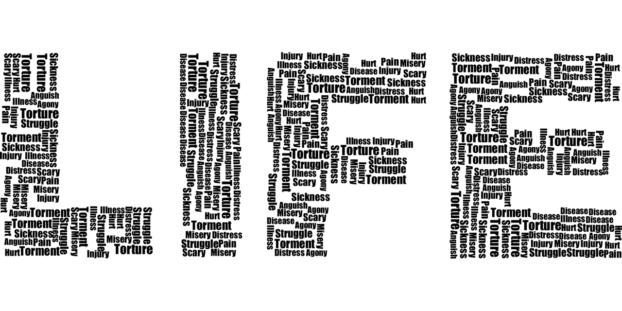品味生活的酸甜苦辣，800字记叙文