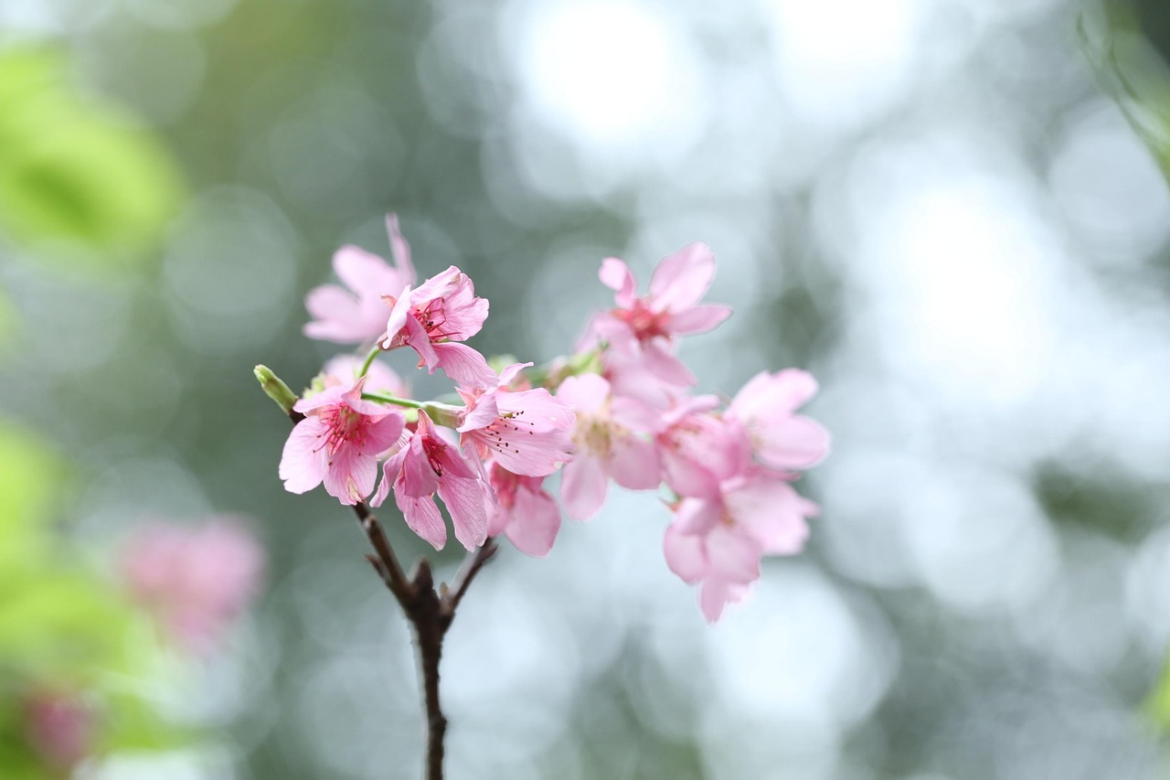 生活之韵，初中生的五百字生活感悟